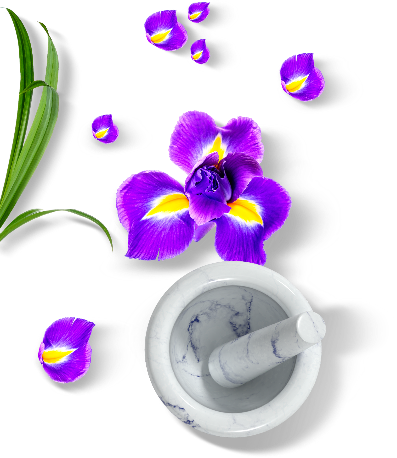 Olio essenziale di iris e ambra grigia