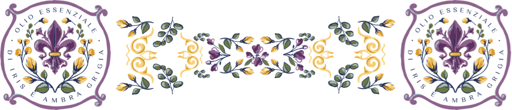 Olio essenziale di iris e ambra grigia