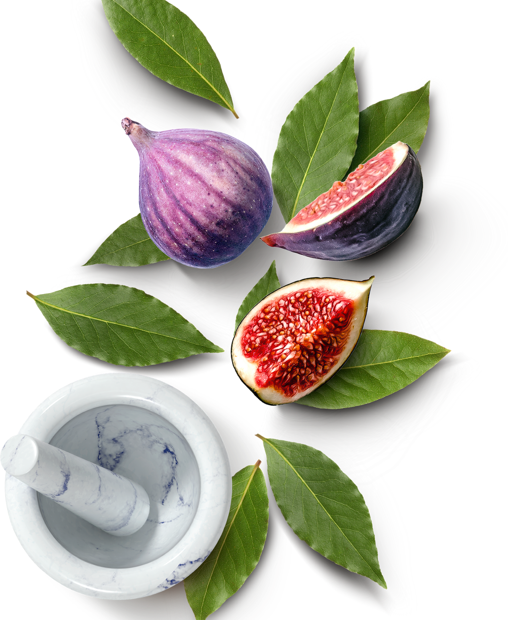 Olio essenziale di alloro e fiori di fico